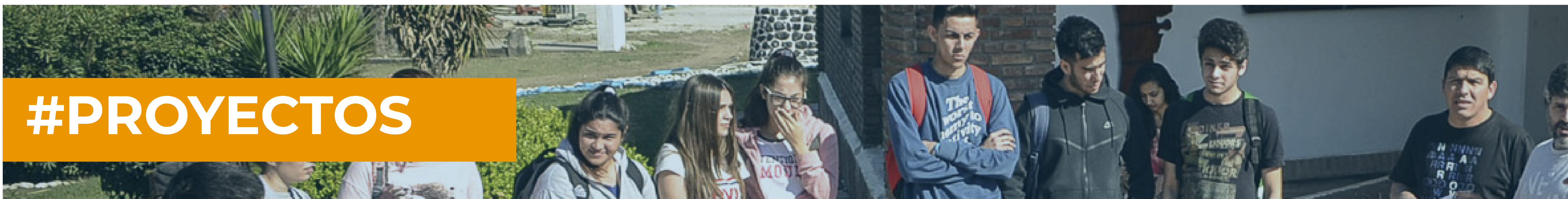 proyectos